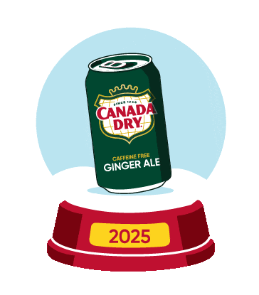 Snow Globe Sticker by Canada Dry Ginger Ale