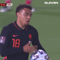 World Cup Qualifiers Celebration GIF by ElevenSportsBE
