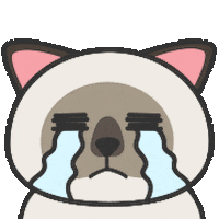 chou2_cat giphyupload giphystrobetesting cry 哭哭 Sticker