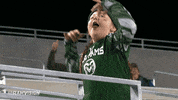 csu rams fans GIF by Colorado State Rams