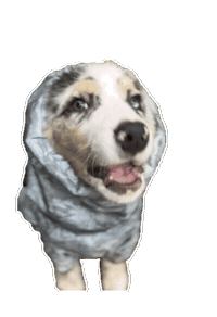 Dog Eat Sticker