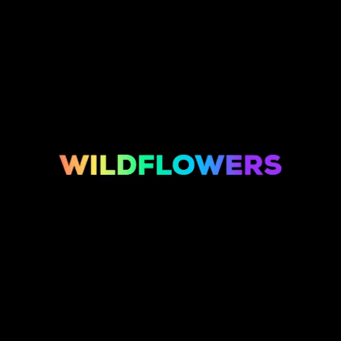 CANTOCOCIDO wildflowers cantococido GIF