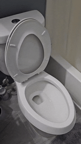Trending Toilet GIF