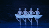 Swanlake GIF by English National Ballet