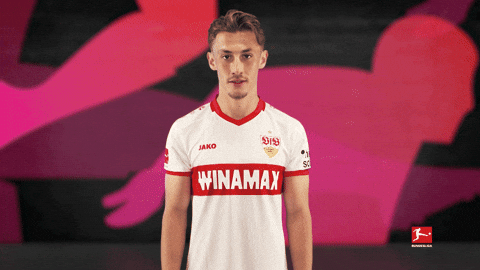 Vfb Stuttgart Cheering GIF by Bundesliga