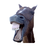 laugh lol STICKER by imoji