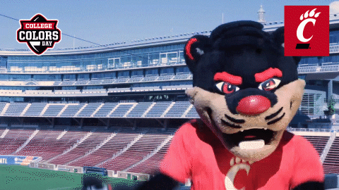 Excited Stand Up GIF by College Colors Day