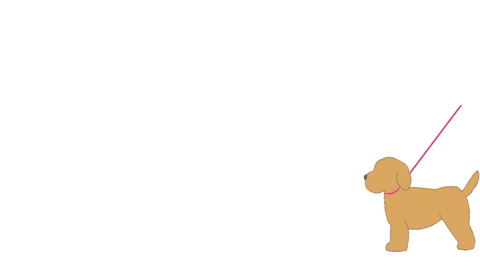 Thepawfectmatchshop giphyupload GIF