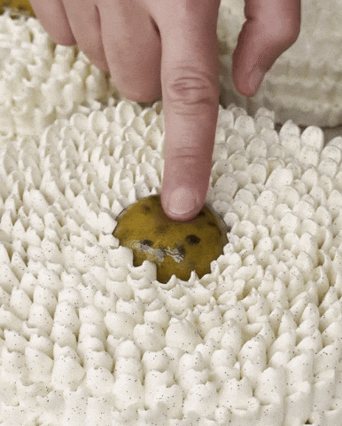 Satisfying Fruit De La Passion GIF by Cedric Grolet
