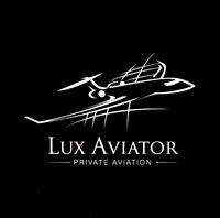 Lux-Aviator plane GIF