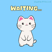 Hold On Waiting GIF by Silly Kitties