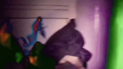 Band Philadelphia GIF by Topshelf Records