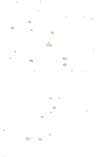 Flowers Spring Sticker by Mary Kay de Mexico