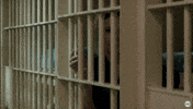 Tapping Season 3 GIF by Animal Kingdom on TNT
