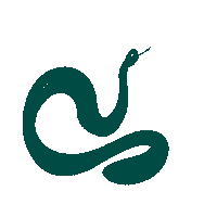 Drawing Snake Sticker