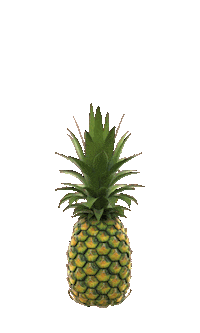 Fun Pixel Sticker by STIIIZY