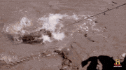 swamp people coffee GIF