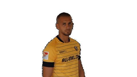 Bundesliga Celebrate Sticker by SG Dynamo Dresden