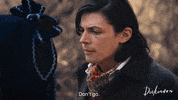 Dickinson Please GIF by Apple TV+