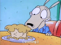 rockos modern life nicksplat GIF
