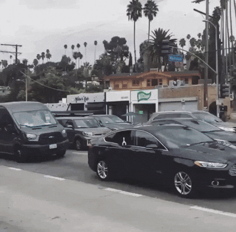 Black Metal Dog GIF by jOnNy'S wOrLd