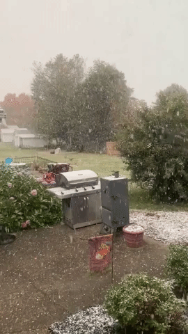 'First Snow of the Year' Falls in Kentucky