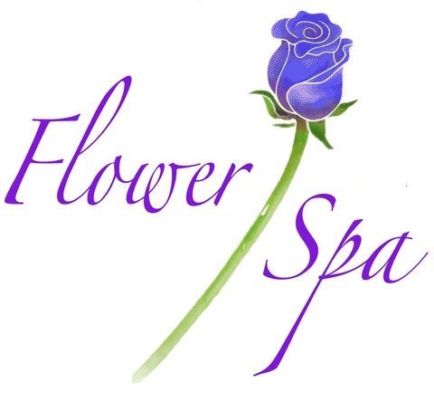 livealoha giphyupload GIF