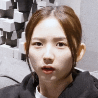 K Pop What GIF