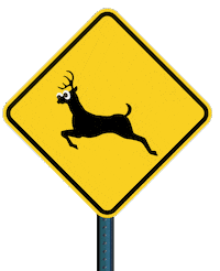 Deer Pennsylvania Sticker by pemahq