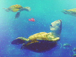 fish swimming GIF