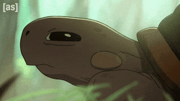 Turtle Wood GIF by Adult Swim