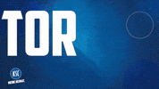 Football Sport GIF by Karlsruher SC