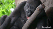 sneezing GIF