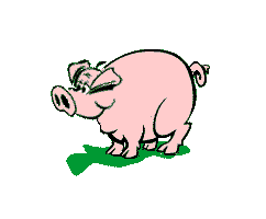 pig kay Sticker
