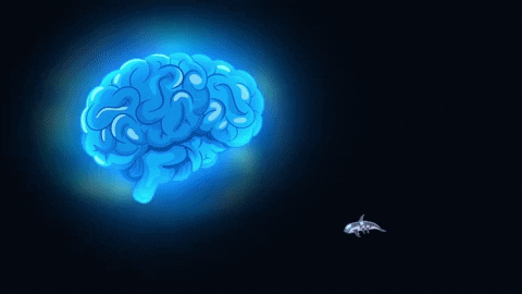 shocked brain GIF by Cartoon Hangover