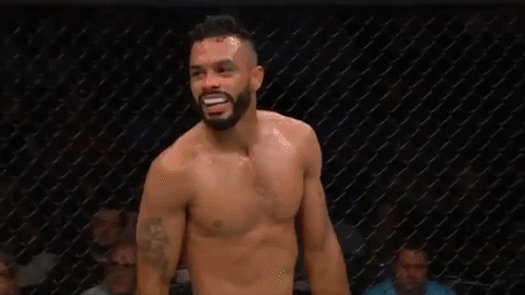 ufc 213 GIF