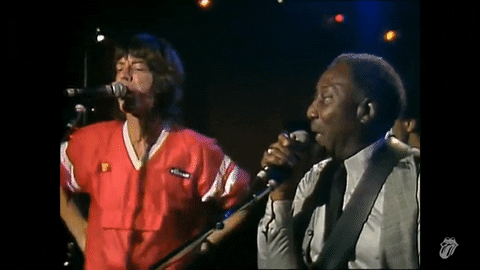 the rolling stones pbs GIF by Muddy Waters