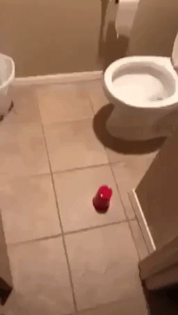 Man Discovers Cockroach in His Bathroom and Does Exactly What He Needs to Do