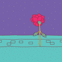 The Bachelorette GIF by Palm Bay Spritz