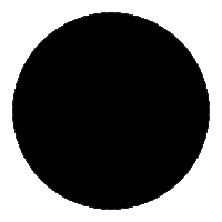 Hazal Kaya Fox Sticker by NOW