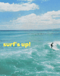 Surfs Up Surfing GIF by STARCUTOUTSUK