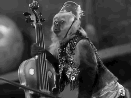 classic film monkey GIF by Warner Archive