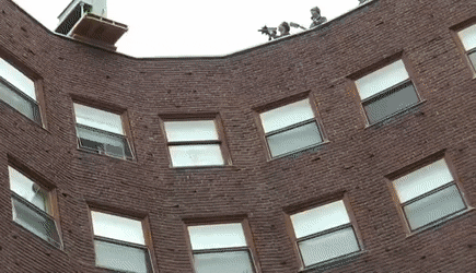 surrealismtoday giphyupload GIF