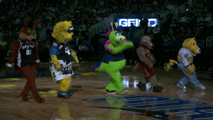 orlando magic mascot GIF by NBA
