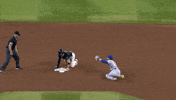 Francisco Lindor Baseball GIF by New York Mets