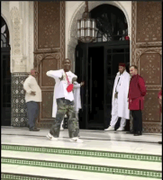 GIF by Buddy