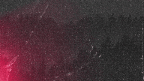 South Dakota Pp GIF by Rapid City Rush