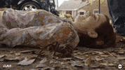 Happy Judy Reyes GIF by ClawsTNT