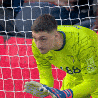 Serious Premier League GIF by AFC Bournemouth