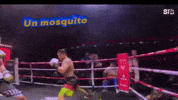 Knockout Combo GIF